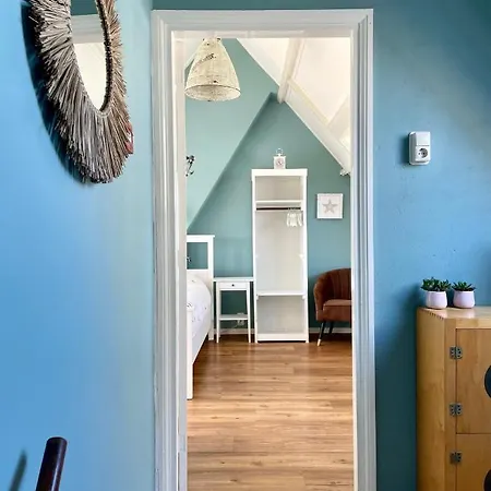 Divi Divi 잔드보르트