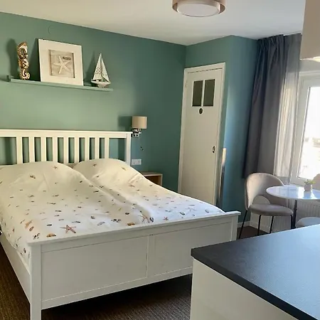 Divi Divi * Zandvoort