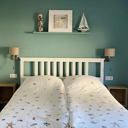 Divi Divi 펜션 잔드보르트