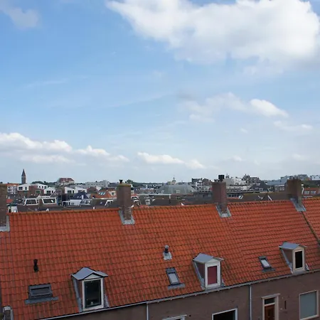 Divi Divi Zandvoort