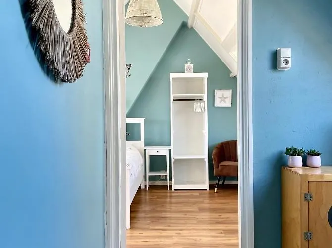 Divi Divi 잔드보르트