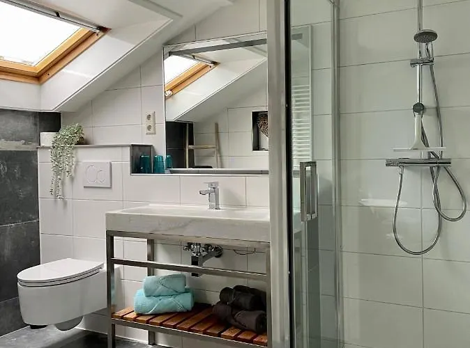 Divi Divi * 잔드보르트