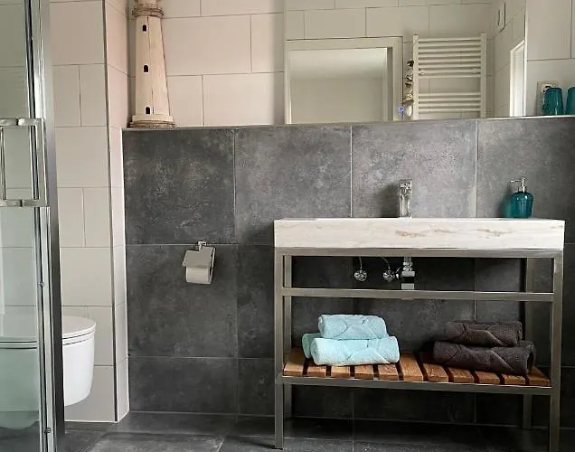 Divi Divi 잔드보르트