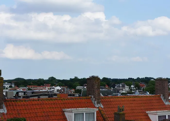 Divi Divi 잔드보르트