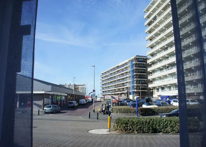 Divi Divi 펜션 잔드보르트