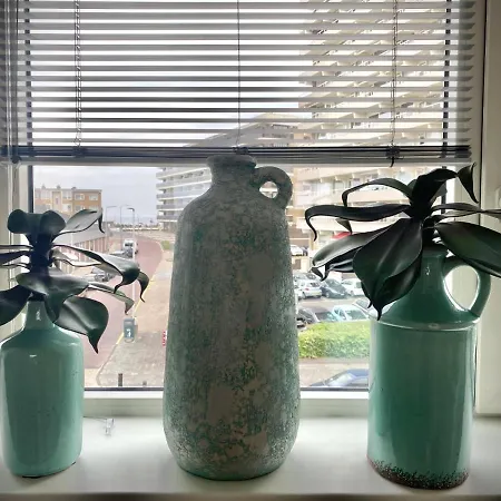 Divi Divi 度假居 *