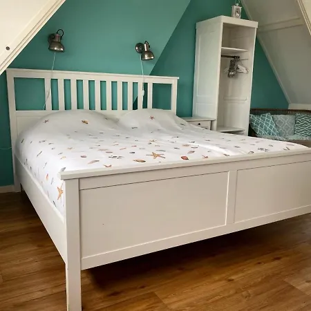Divi Divi Zandvoort