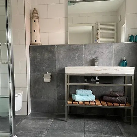 Divi Divi 赞德沃特