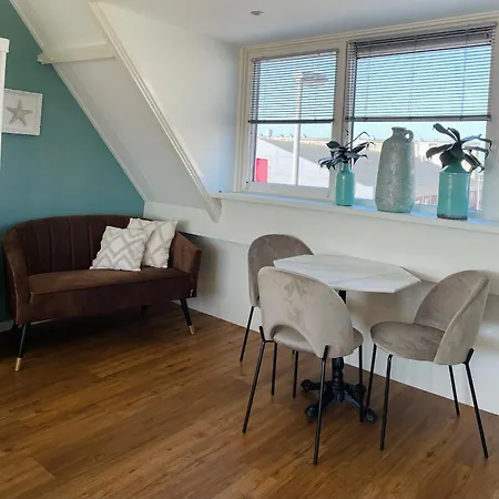 Divi Divi * 赞德沃特