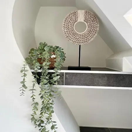 Ferienhaus Divi Divi Zandvoort