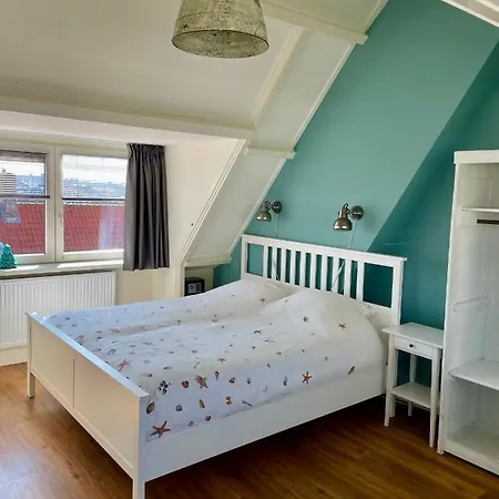 Divi Divi * 赞德沃特