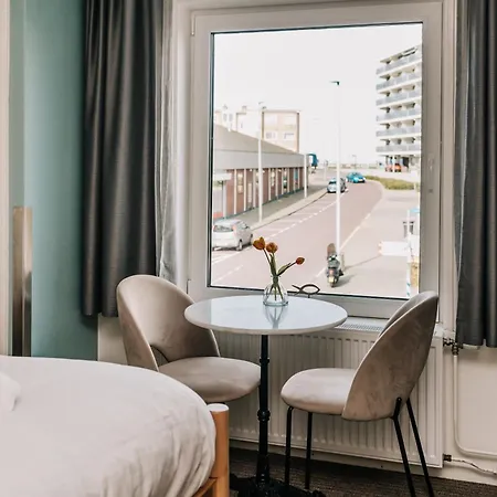 Divi Divi Zandvoort