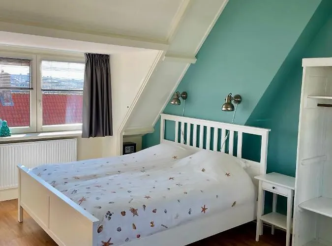 Divi Divi * Zandvoort